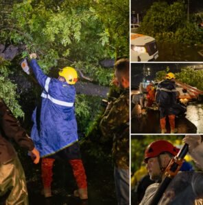 As frentes de trabalho das secretarias municipais seguem atuando de forma contínua para desobstruir vias, remover estruturas comprometidas e prestar assistência direta às famílias prejudicadas. Foto: Divulgação